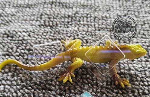 ΢��Ӧ��оƬ����,DNAоƬ�����ӹ�