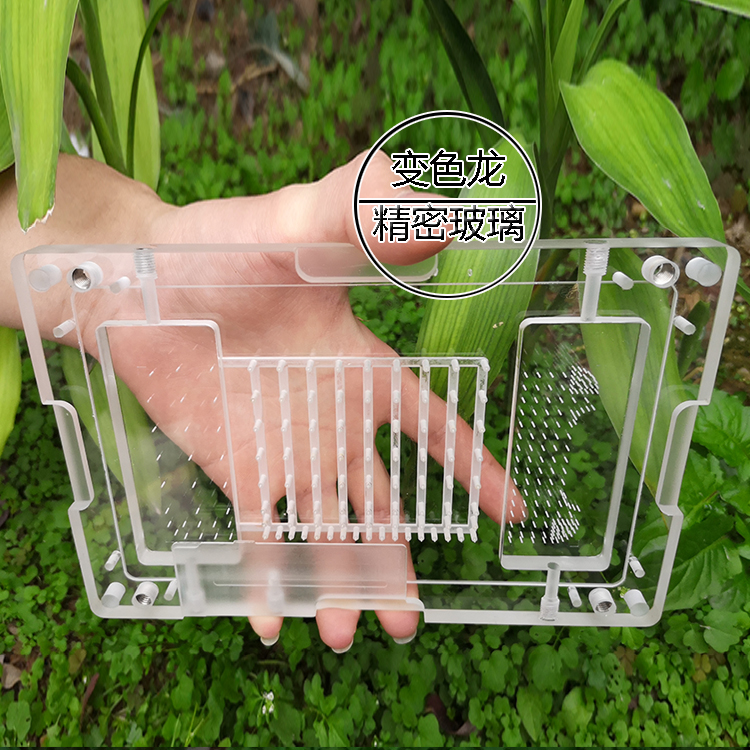 ʯӢ