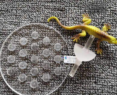 ʯӢӹ